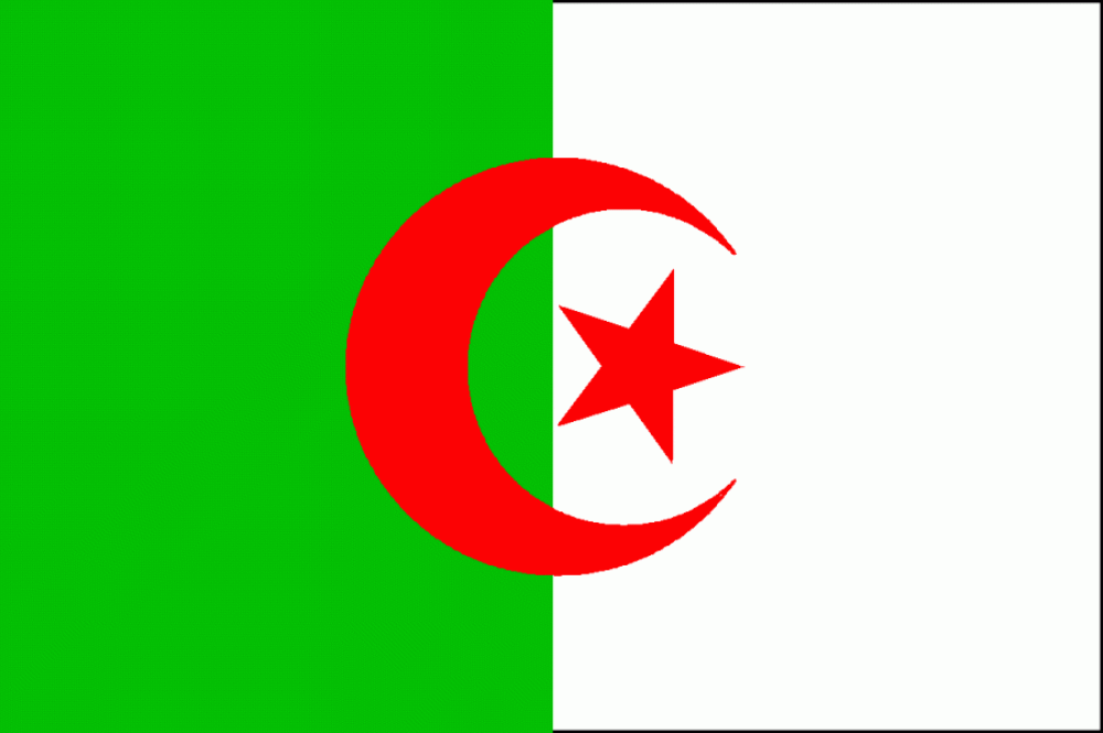 10-11 Algeria Home Shirt