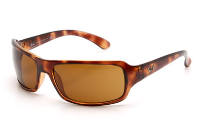 Ray-Ban 4075 Tortoiseshell Sunglasses