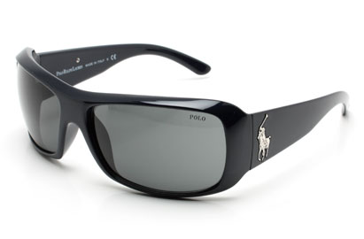 Polo 4039 Dark Blue Sunglasses
