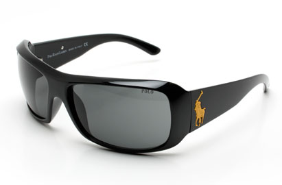 Polo 4039 Shiny Black / Yellow Sunglasses