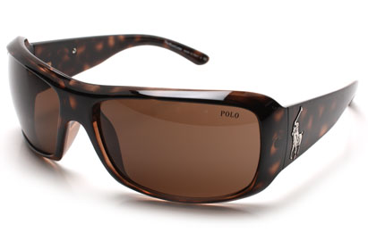 Polo 4039 Tortoise Sunglasses