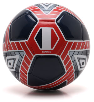 France World Cup 2010 Football