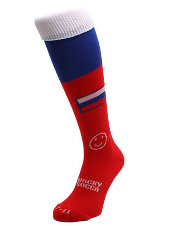Slovakia Football Socks