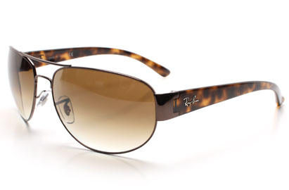 Ray-Ban 3448 Tortoise Sunglasses