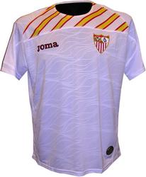 08-09 Seville CL home
