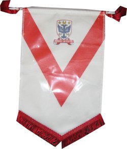 Airdrie Utd Pennant 0506