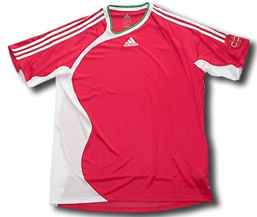 06-07 Hungary away