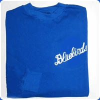 Cardiff City 1960s Bluebird  