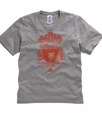 2011-12 Liverpool Adidas Graphic Tee (Grey)