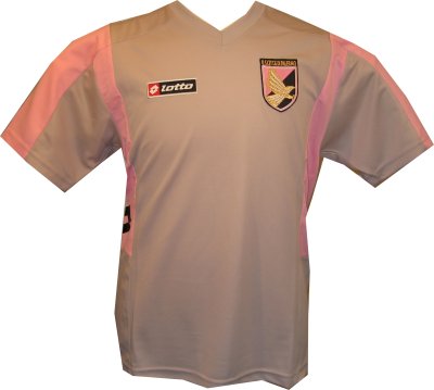 Palermo Training shirt grey 0506