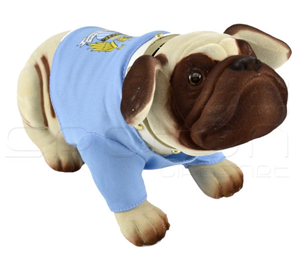 Man City Nodding Dog