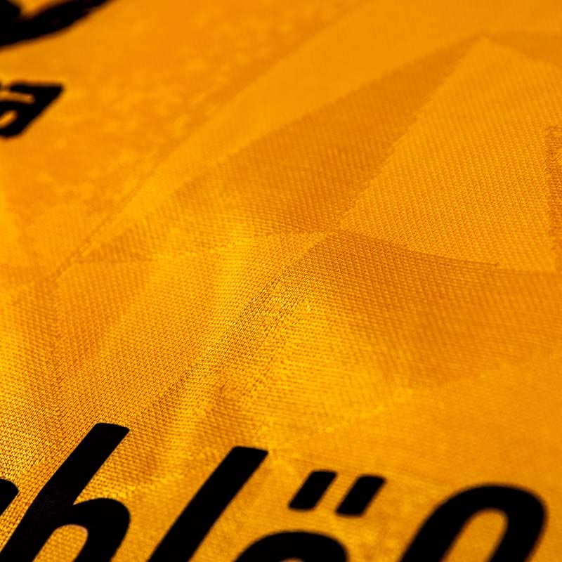 Dynamo Dresden 2016-17 Home Shirt Front Pattern#