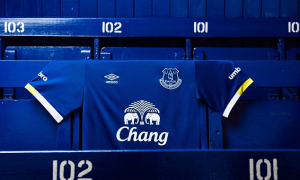 Everton Home Kit 2016-17 Banner