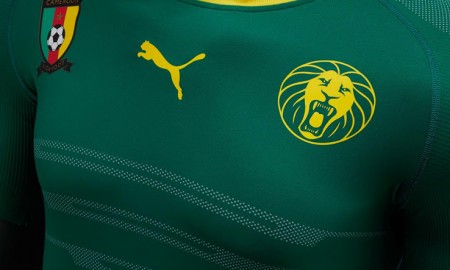 cameroon-2016-home-kit-chest