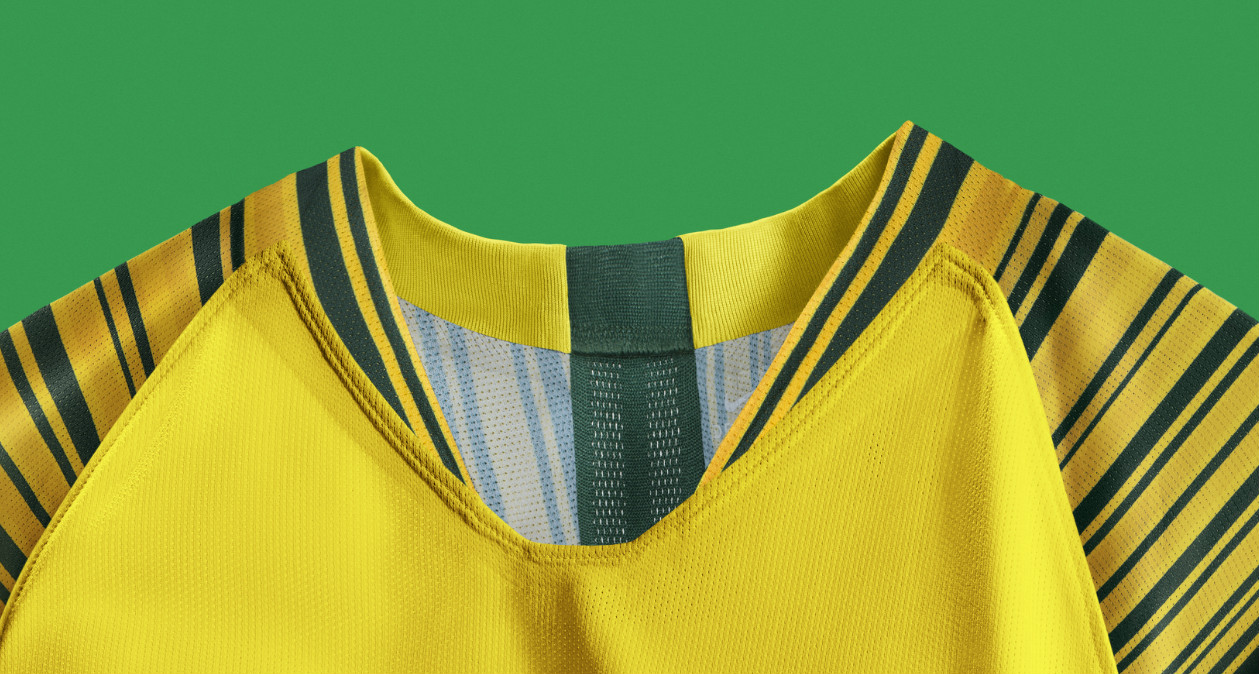 south_africa_2018_nike_home_kit_c