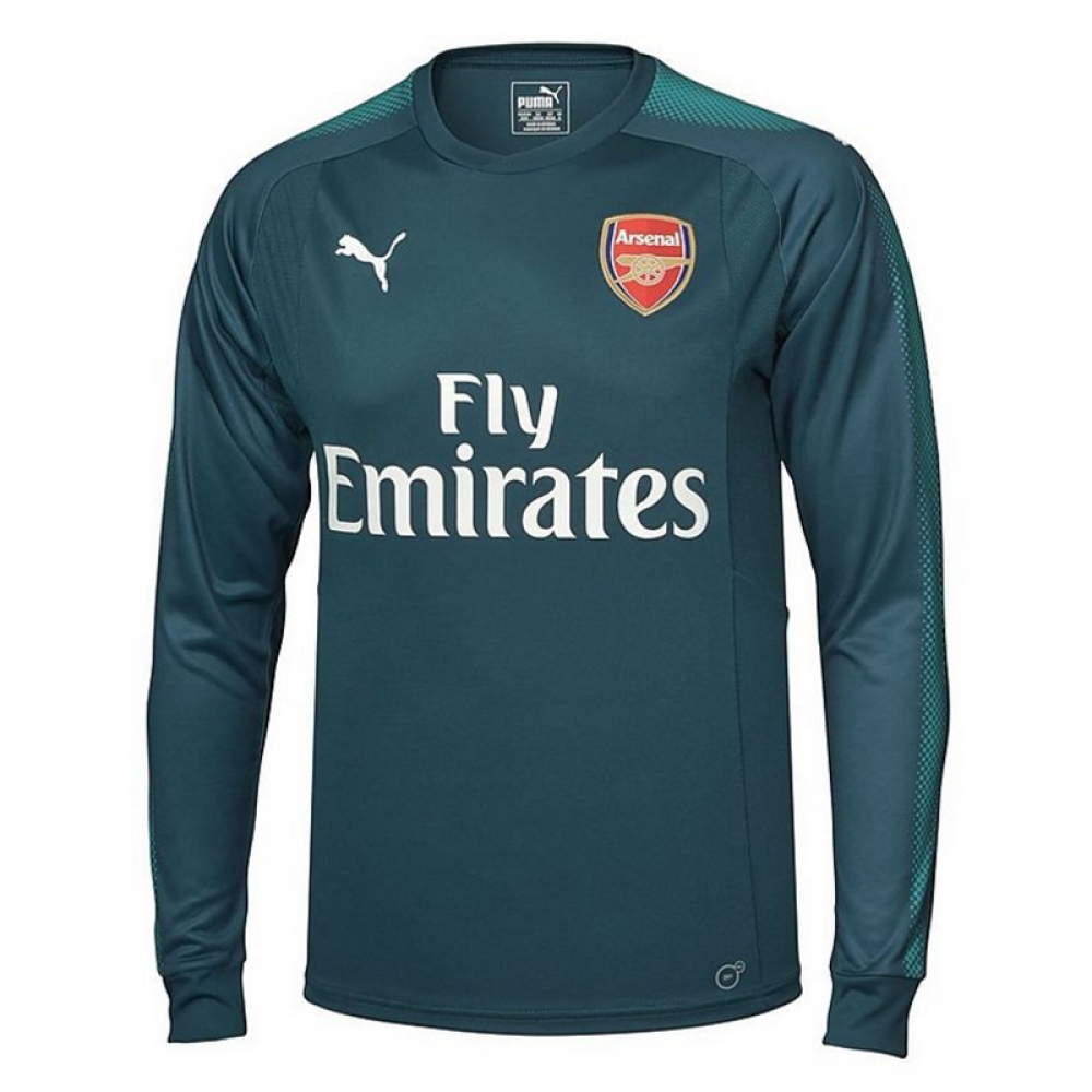 puma goalkeeper kit