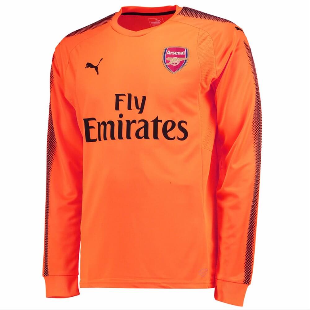 puma goalkeeper jersey 2018