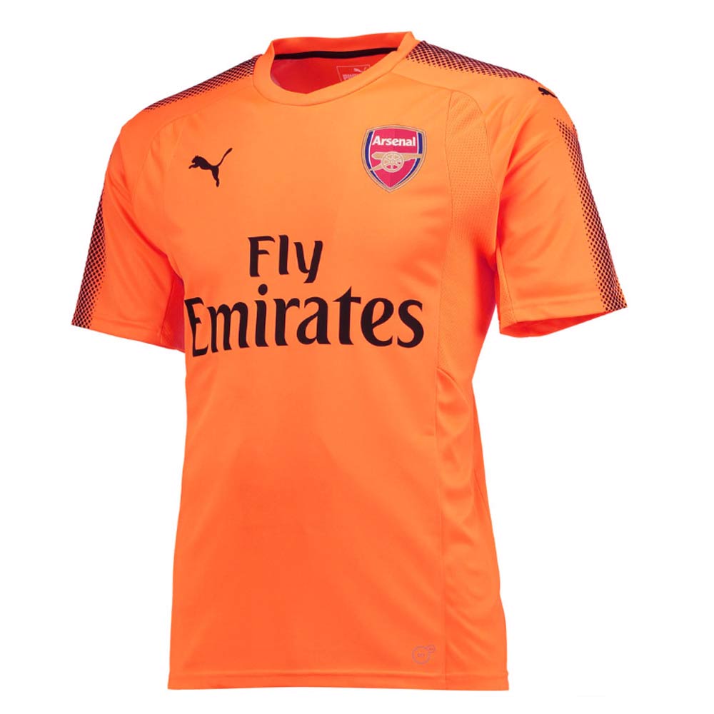 arsenal goalkeeper away kit