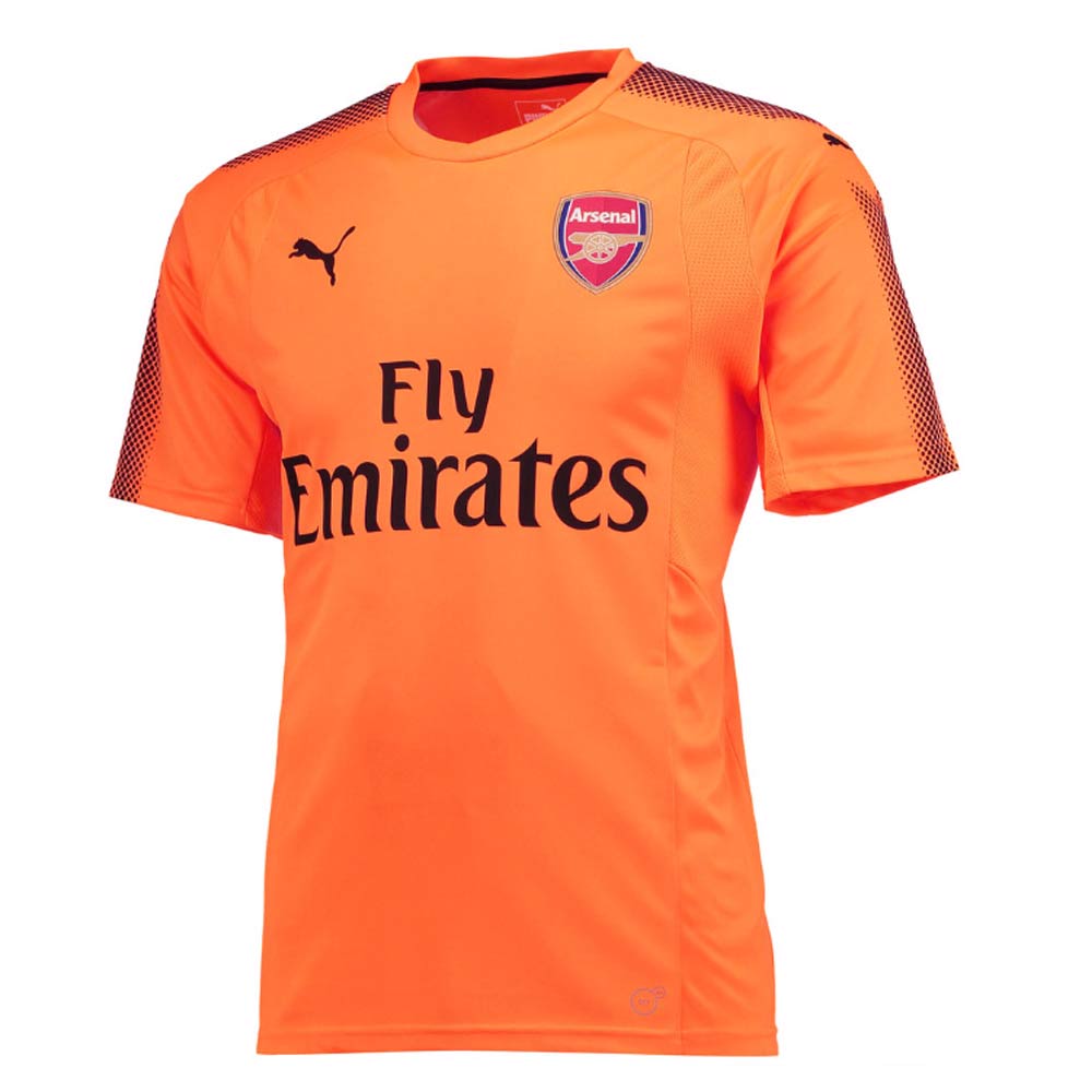 puma arsenal goalkeeper