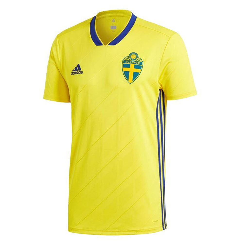 sweden jersey