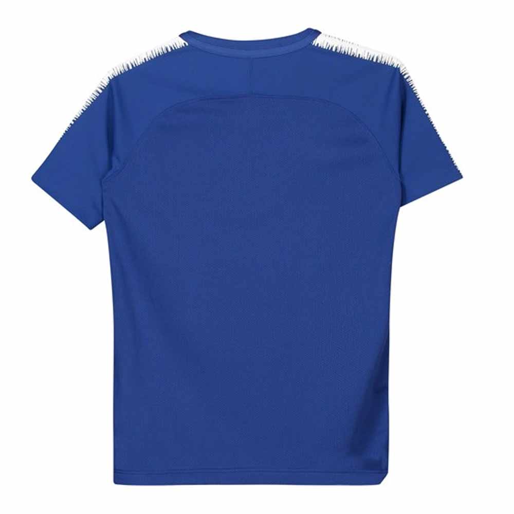 blue nike training top