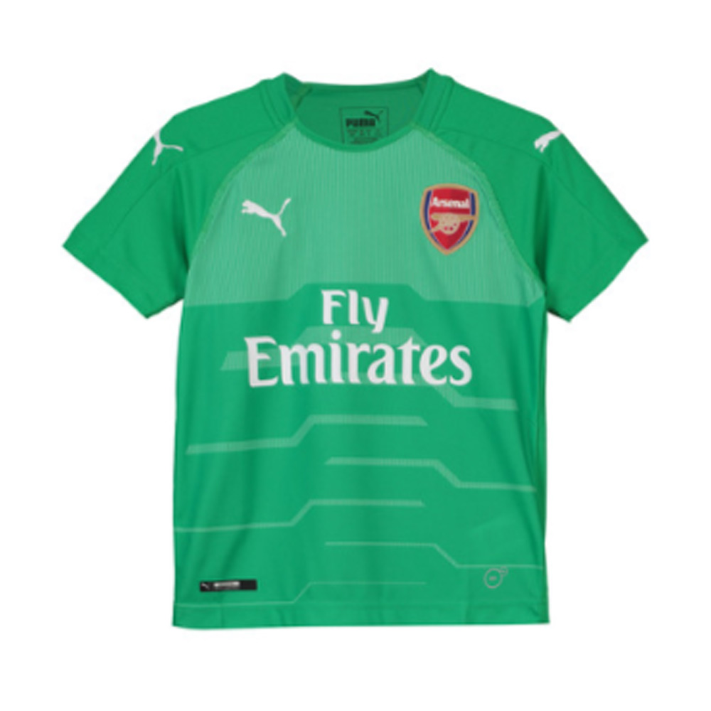 puma arsenal goalkeeper