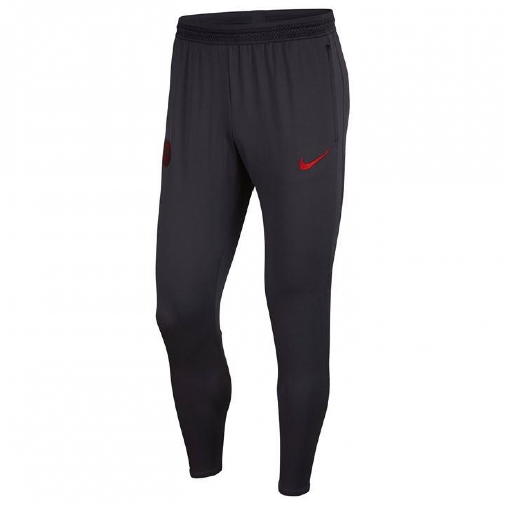 psg nike training