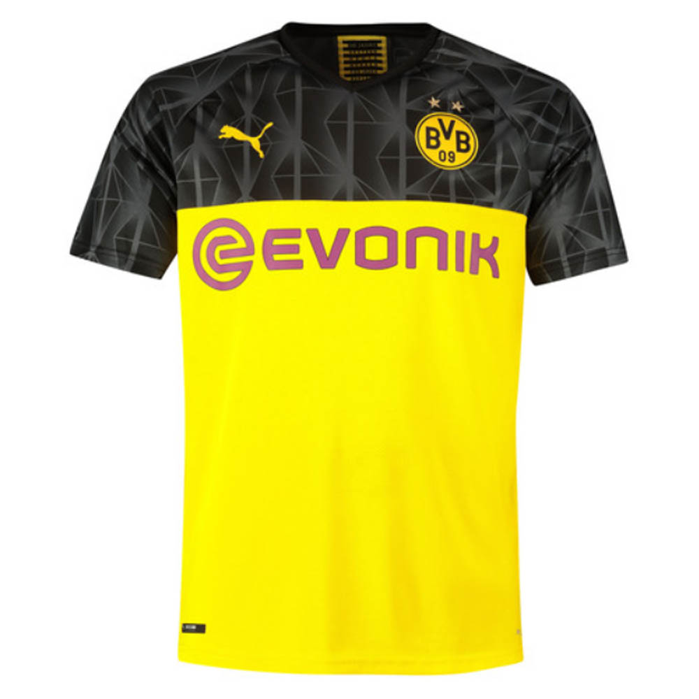 dortmund puma kit