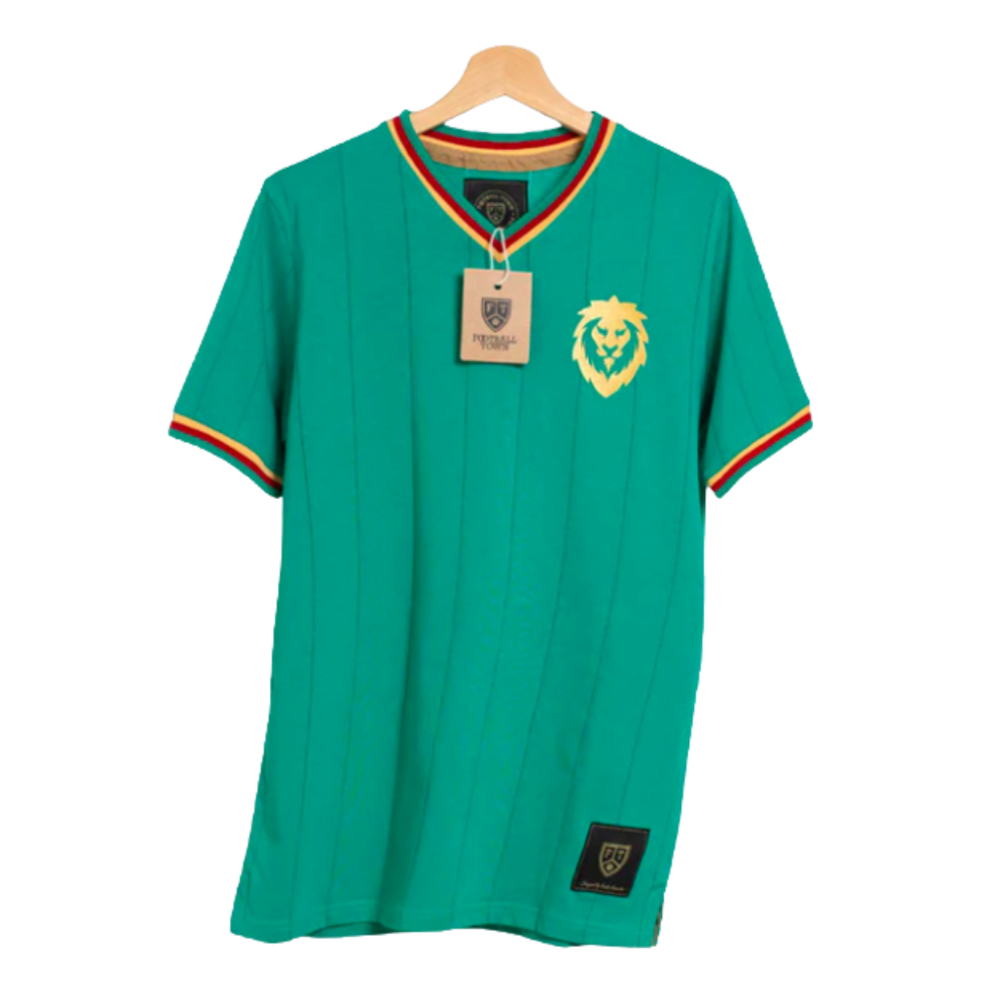 Lions football shirt outlet