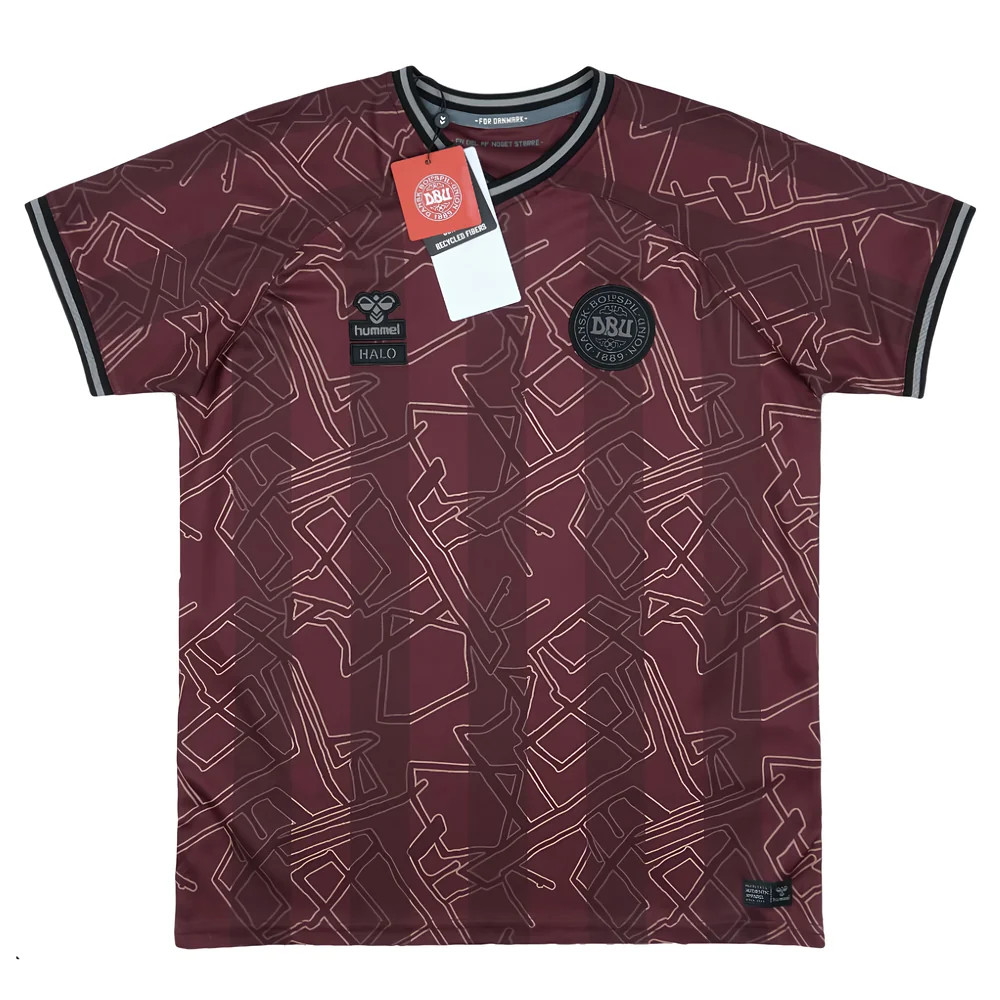 '24-'25 Denmark Special Edition Hummel X Halo Shirt (Kids) Polyester Unisex Kids Maroon Small