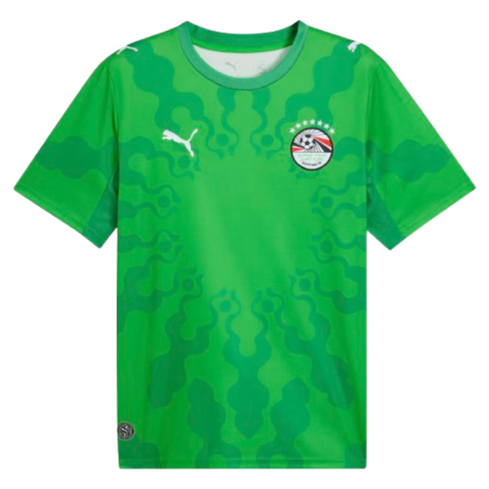 '26-'27 Egypt Goalkeeper Shirt (Green) Polyester Made By: Puma Green Extra Large