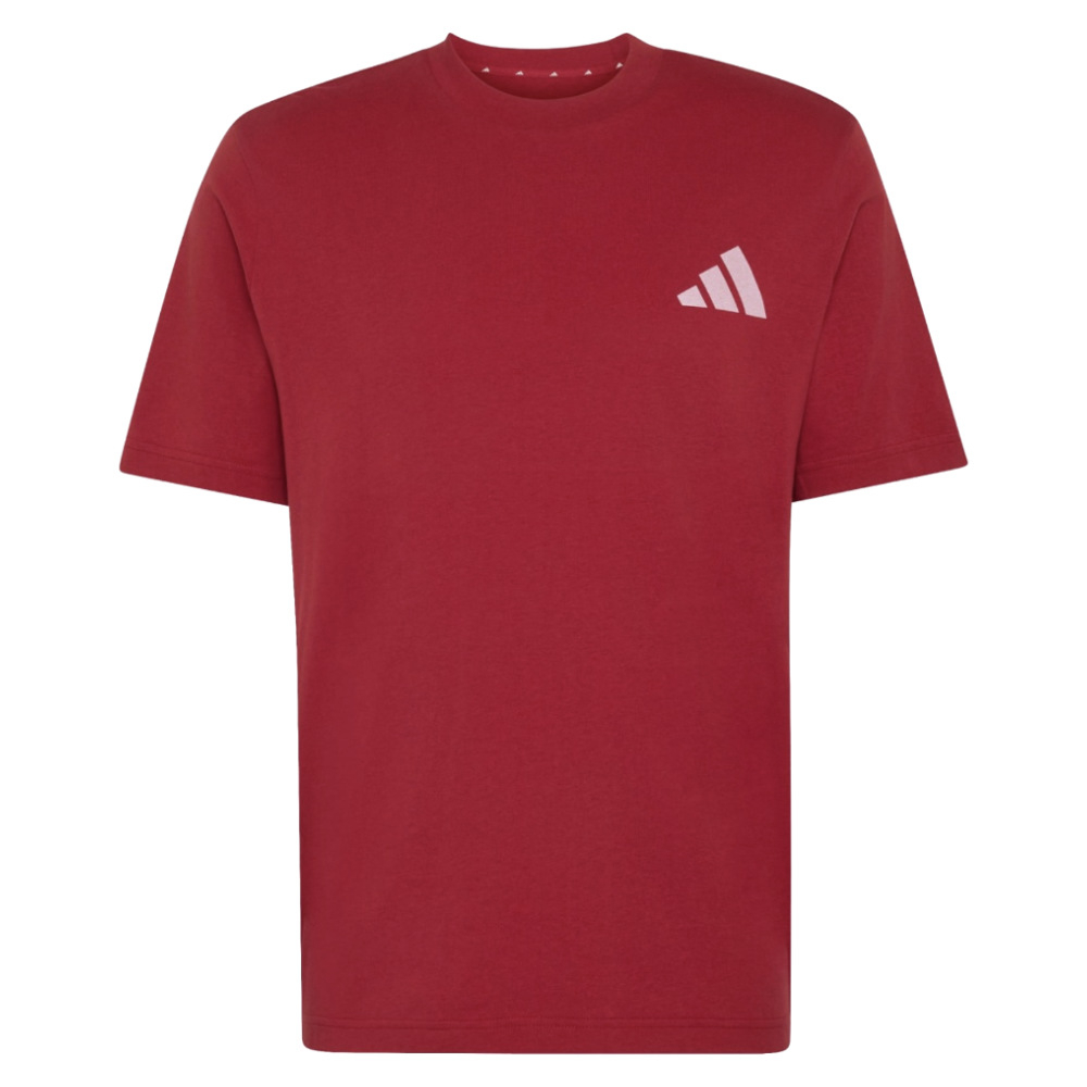 '26-'27 Liverpool Seasonal Graphic Tee (Active ) Polyester Made By: Adidas Maroon Medium